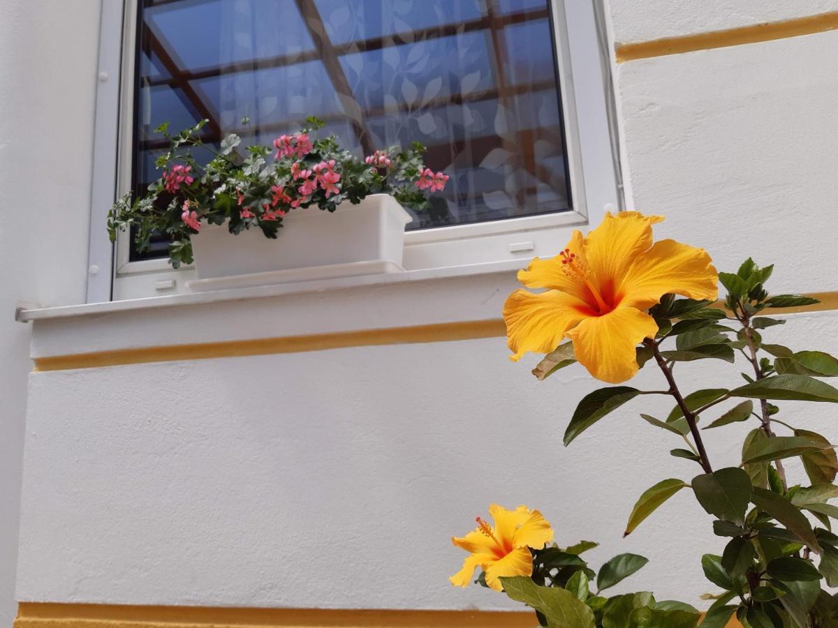 Thermal Garden Mosonmagyarovar Ngoại thất bức ảnh